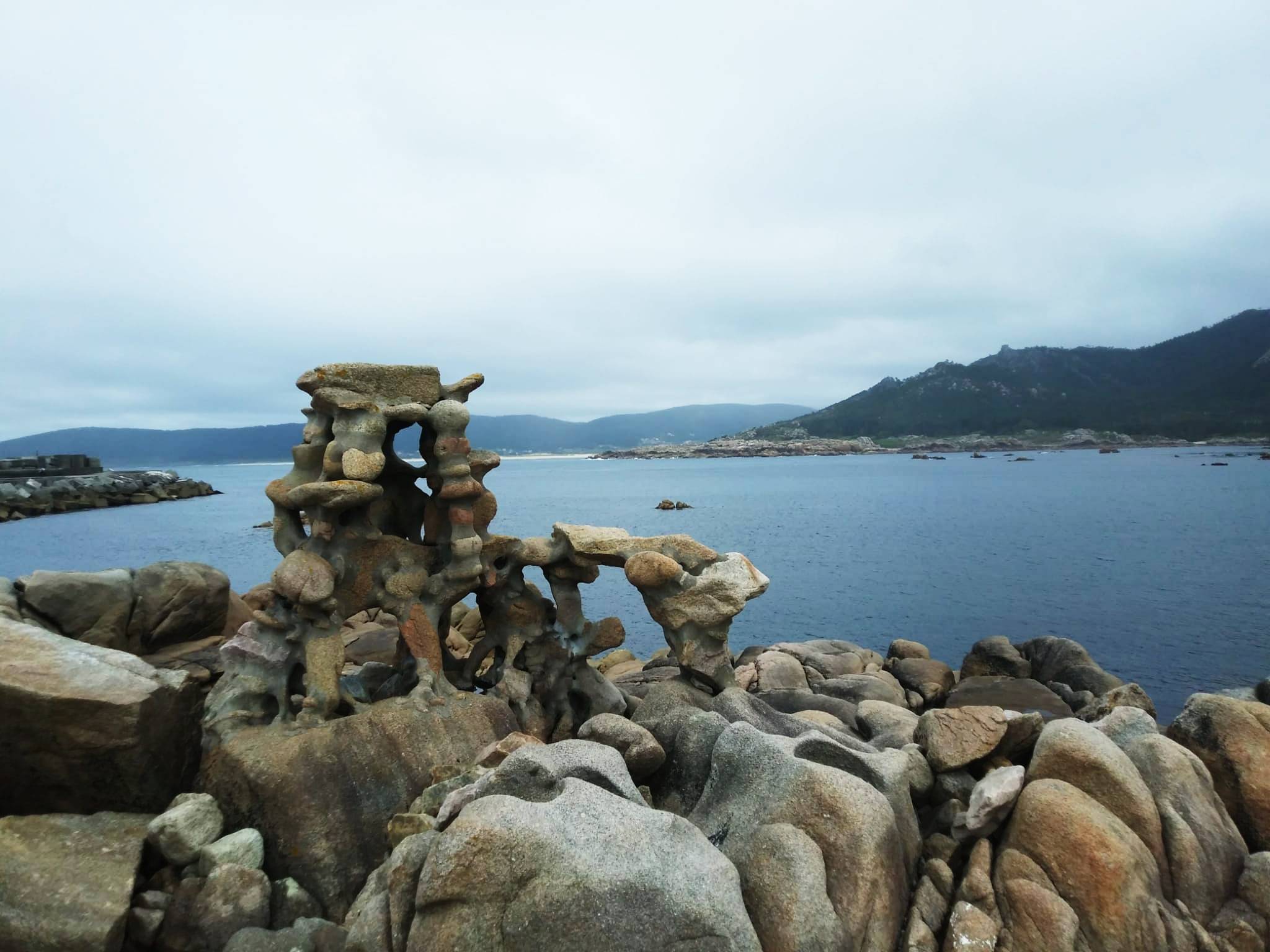 106533413_3261747967209233_1438298390813494172_o (1)